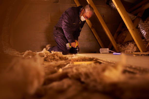 Best Insulation Maintenance and Repair in Omaha, TX
